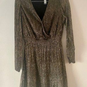 XS Banana Republic Metallic Fit and Flare Dress with Sheer sleeves NEW